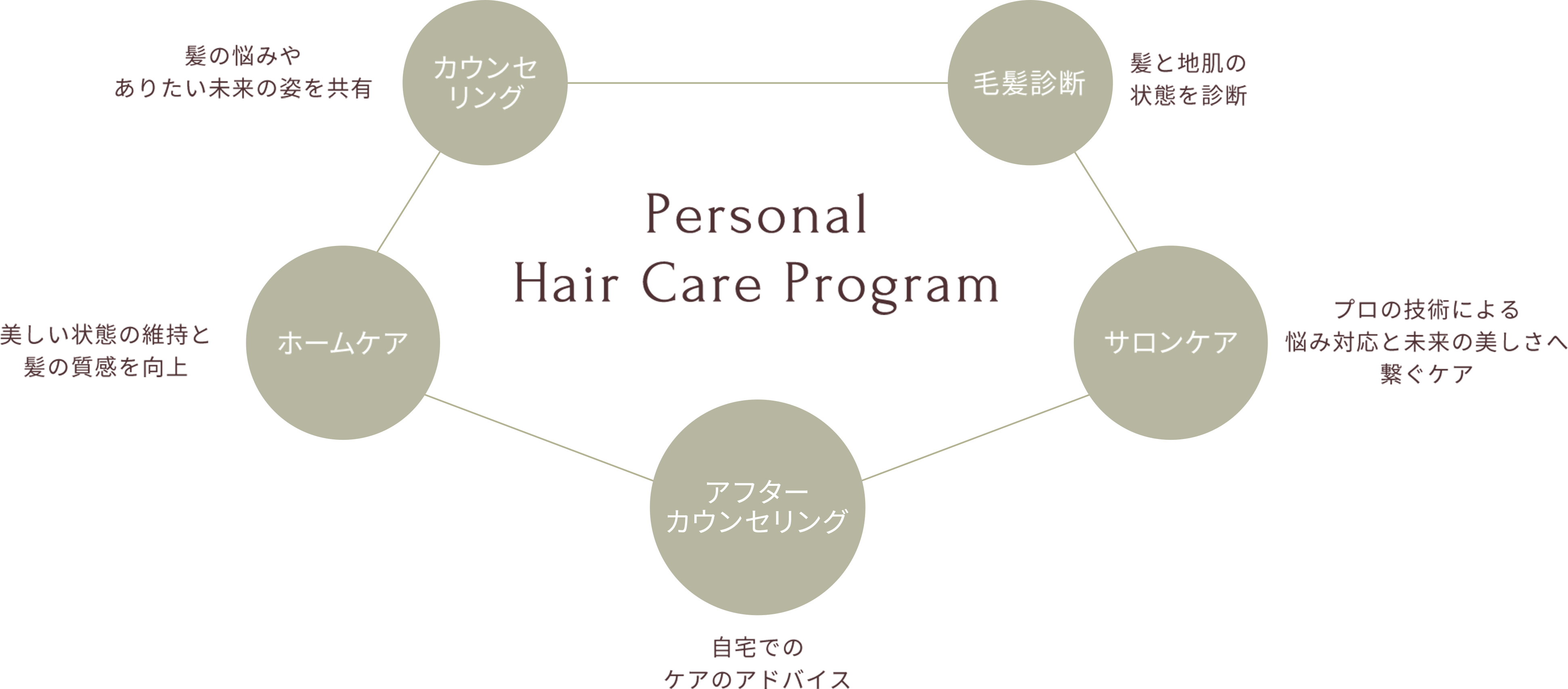 Personal Hair Care Program